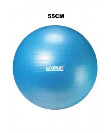gym ball 55cm blue color